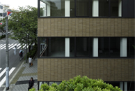 ���V���J�~�j�[�g�n�E�X�r��